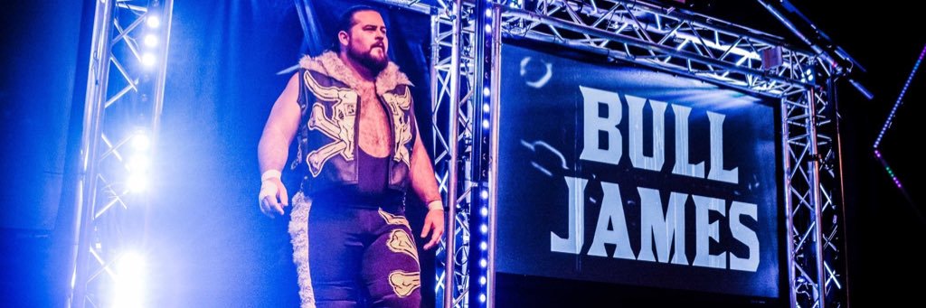 Bull James banner