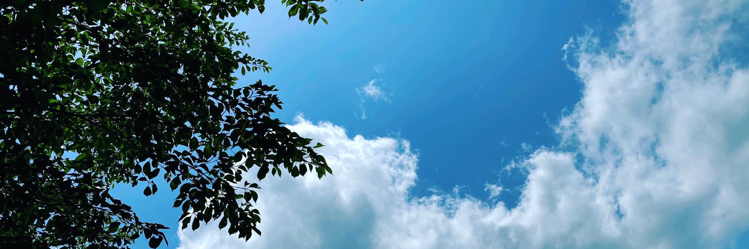 chankoooo612's profile banner image