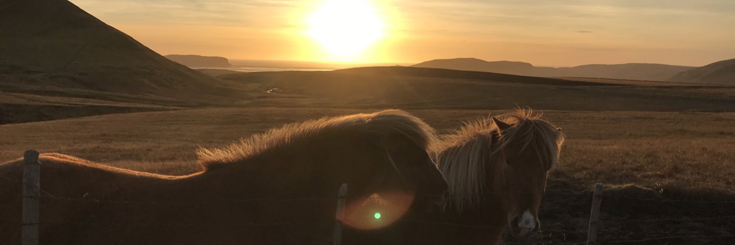 jimedrice's profile banner image