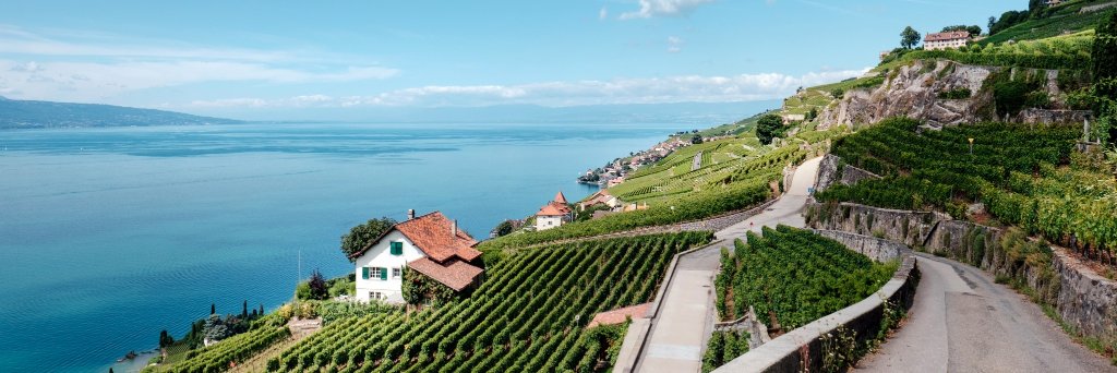 enobytes wine online banner