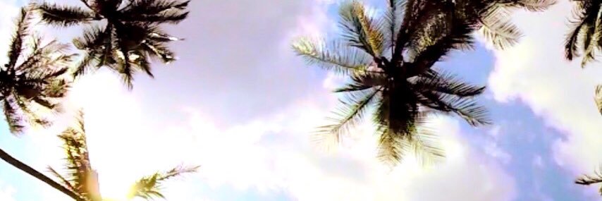 Valentina_aaaaa's profile banner image