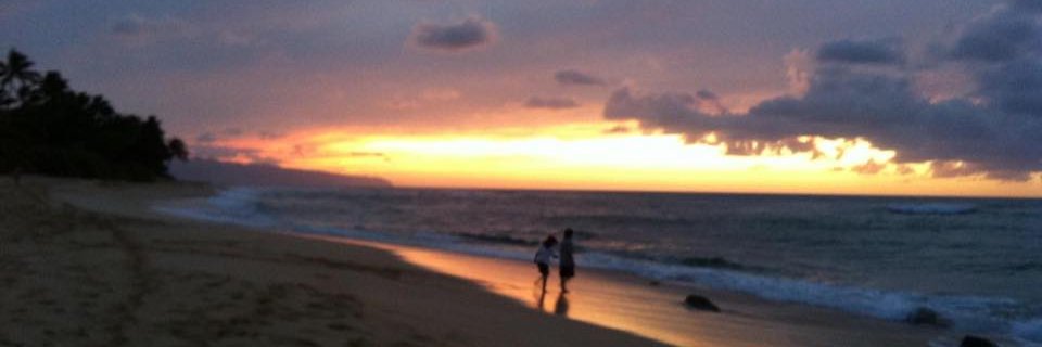 Prof. Mary Bowman banner