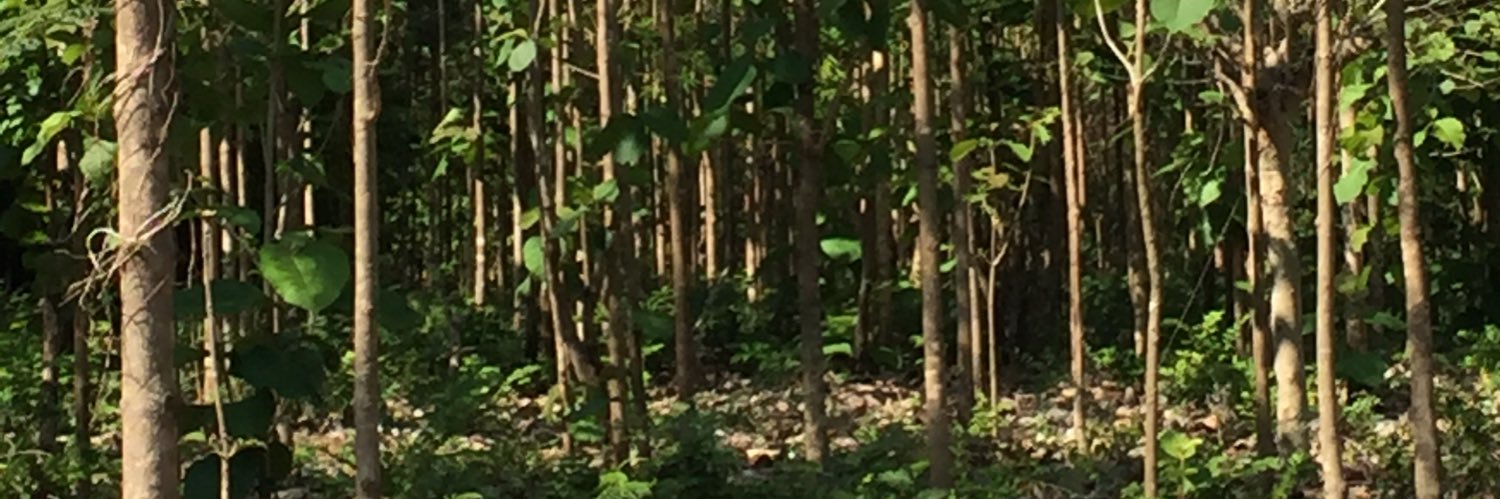fmcuesy's profile banner image