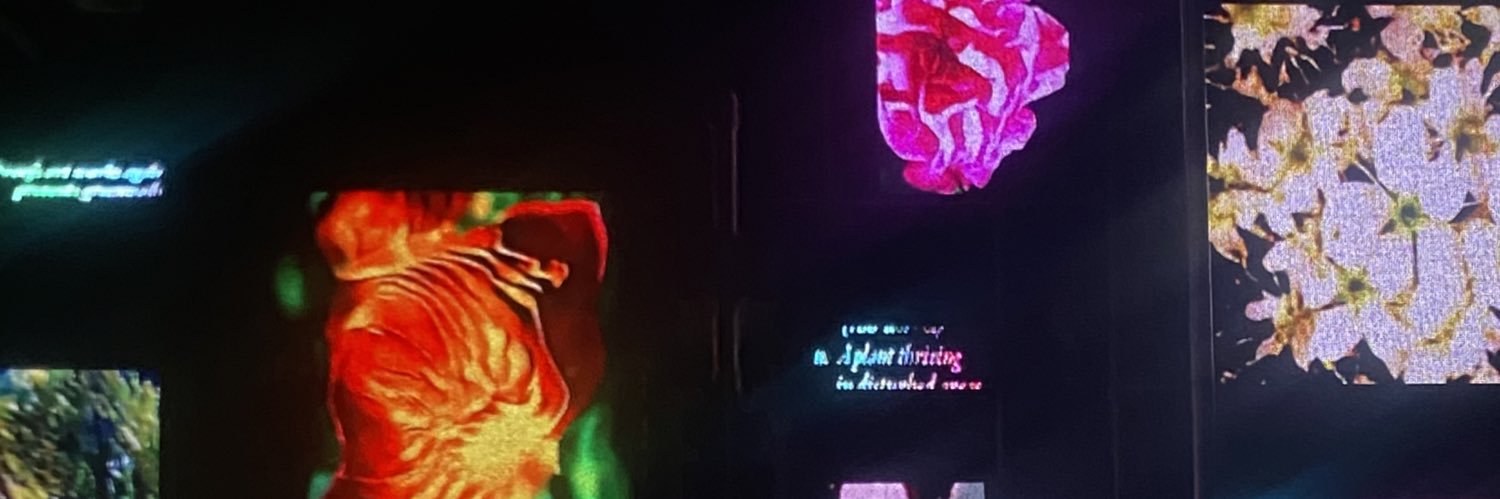 saknait_'s profile banner image