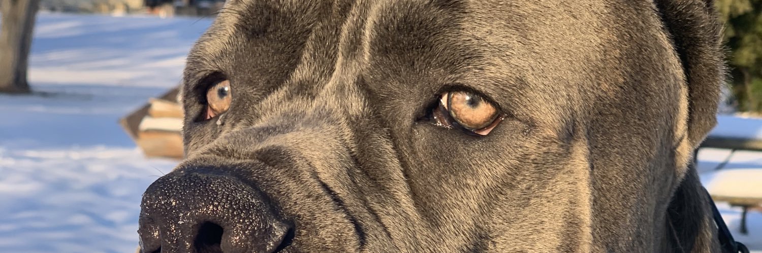 DoubleOz97's profile banner image