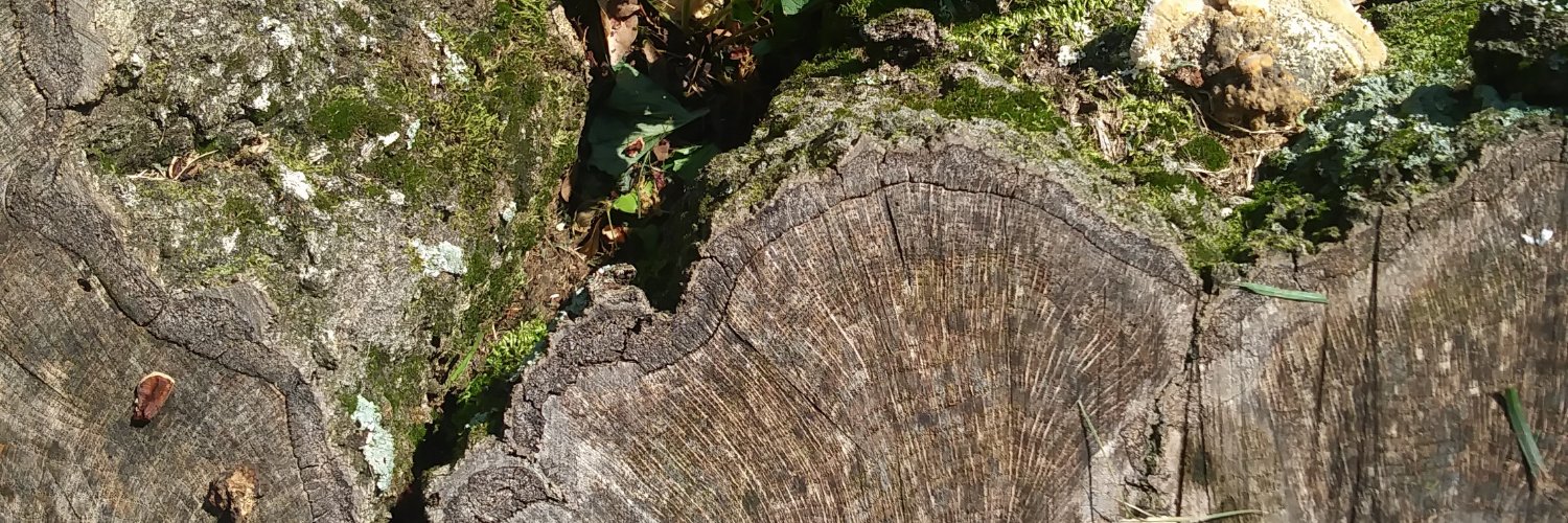 Marcel Sletten banner