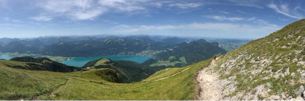 MrMikeReed Profile Banner