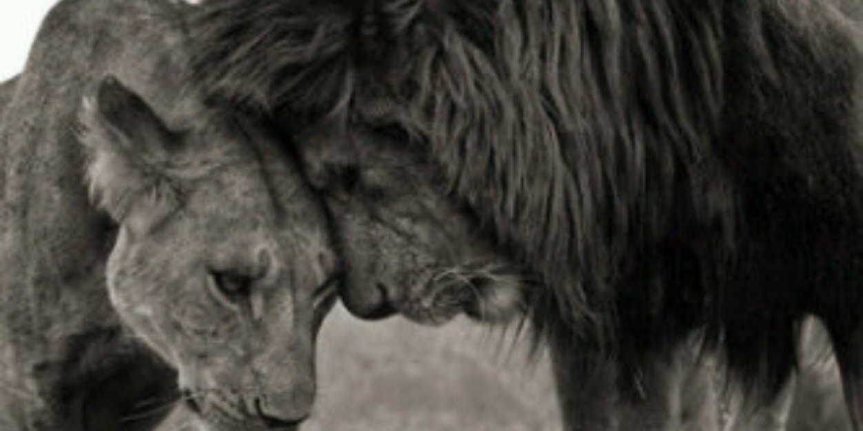 x_JessyLove's profile banner image