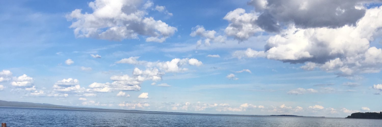 ThunderAlexis's profile banner image