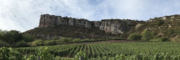 borayang1217 Profile Banner