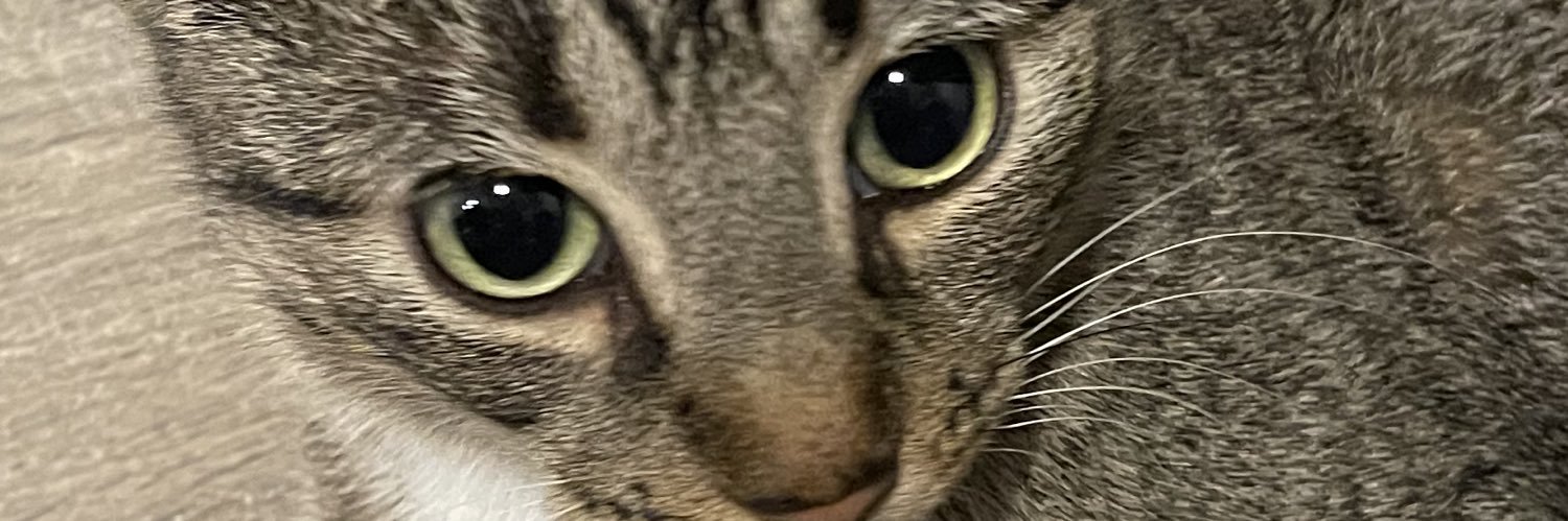zaddybb's profile banner image