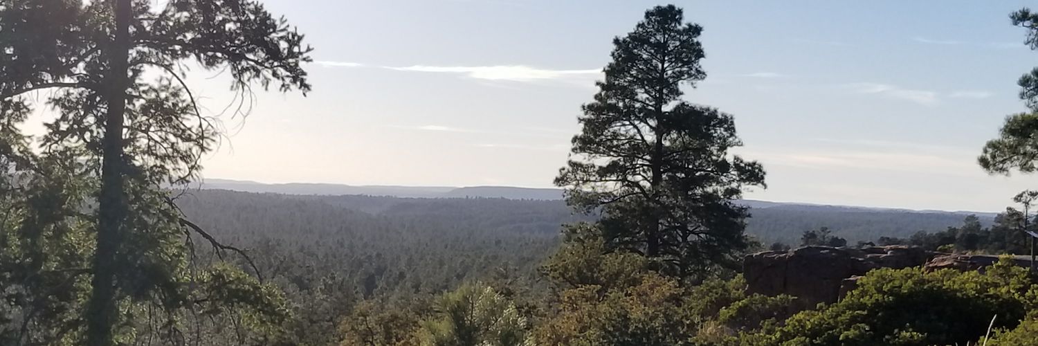 SeanPatrickGib3's profile banner image