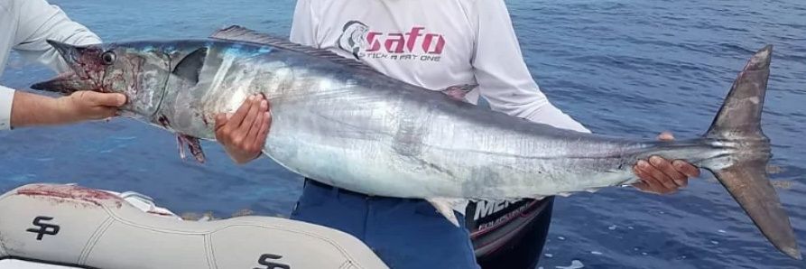 safofishing's profile banner image