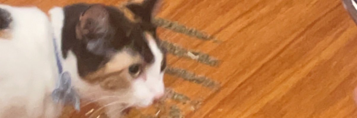 jphammmmm's profile banner image