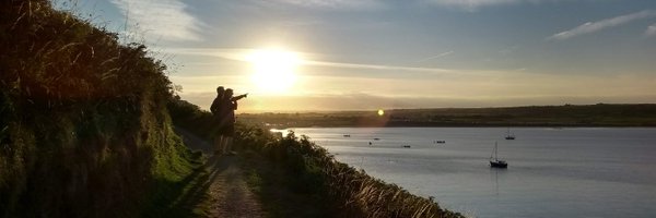 MaeveDOR Profile Banner
