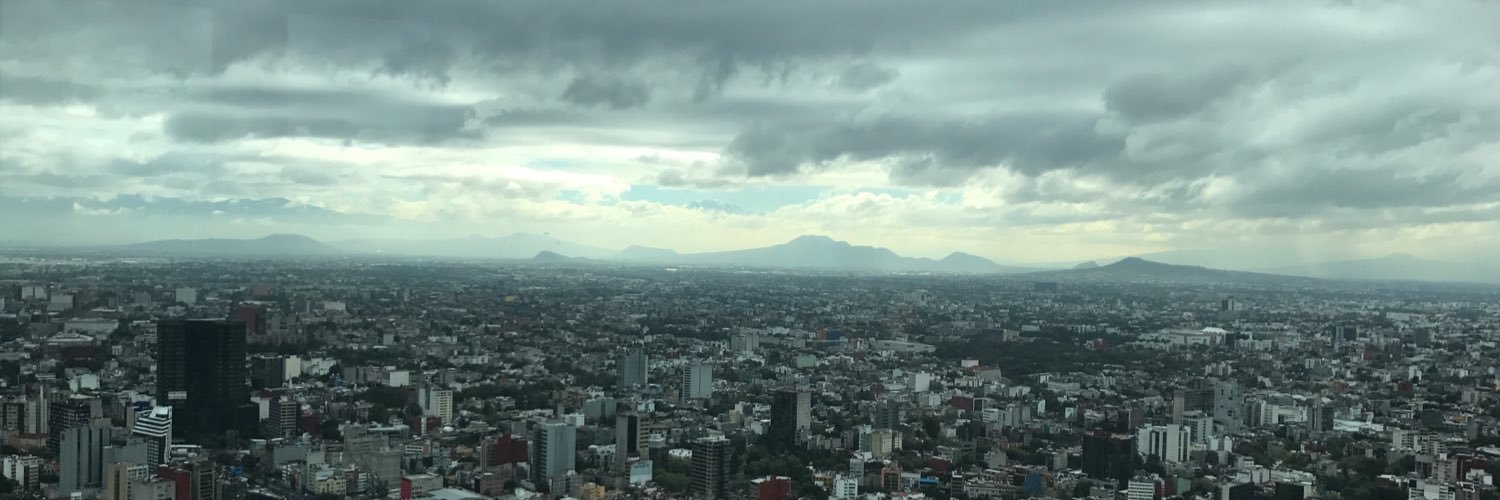 Gustavo Guzmán banner