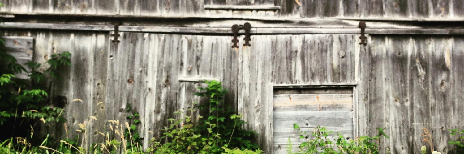 StaceyBrugeman's profile banner image