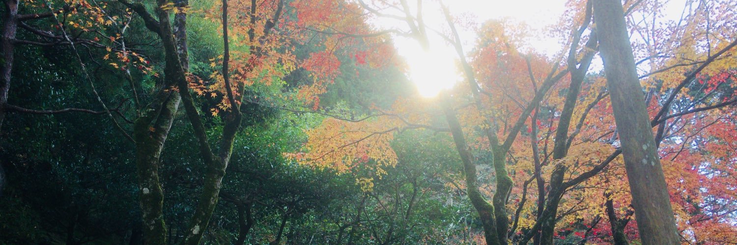 みゅ banner