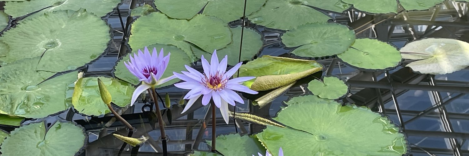 くー@双極性障害 banner