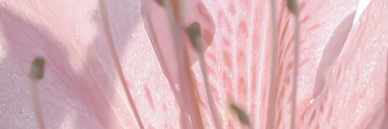 yogui694u's profile banner image