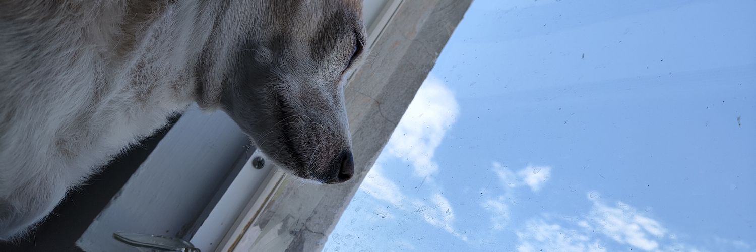 chuymedicas's profile banner image