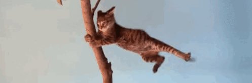 pretty flacko banner