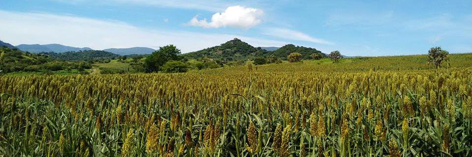 ladbrito's profile banner image