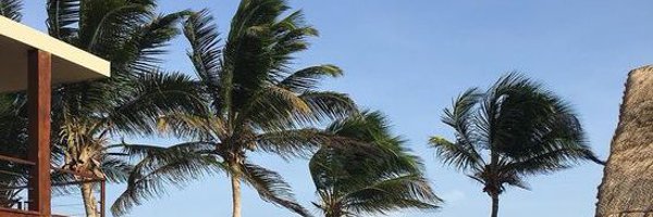 nshonasia Profile Banner