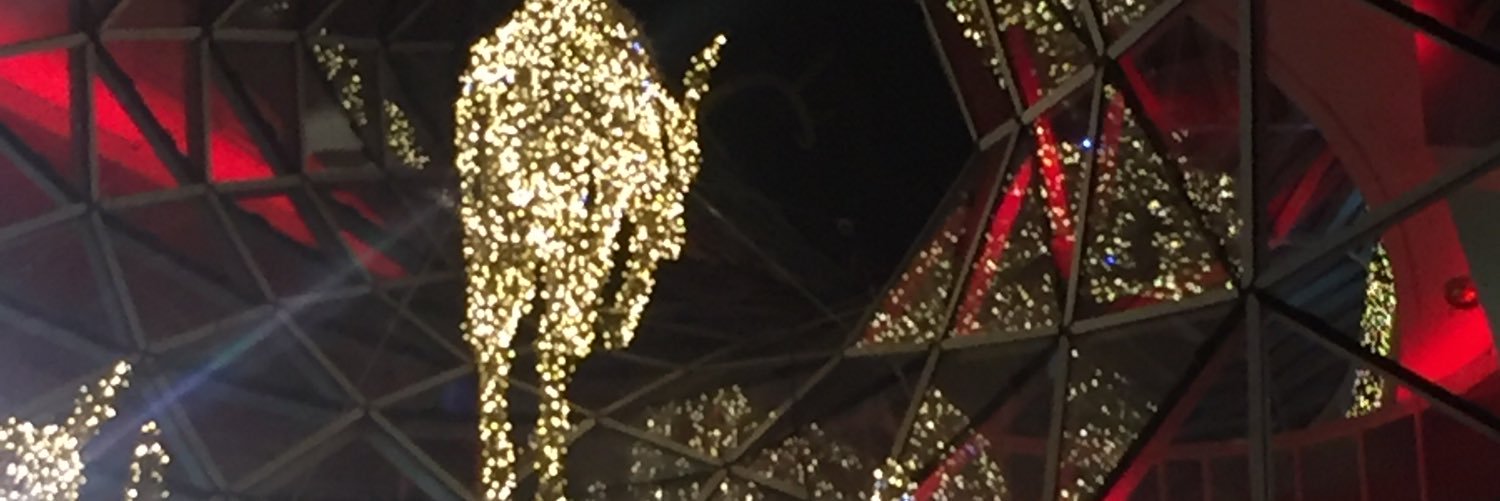 schlawinchen's profile banner image