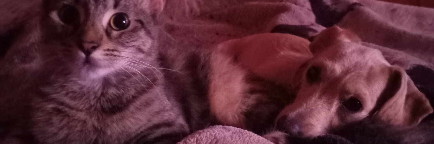 NiikoCastr0's profile banner image