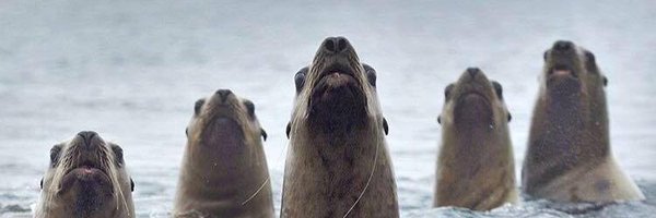 cbartens Profile Banner