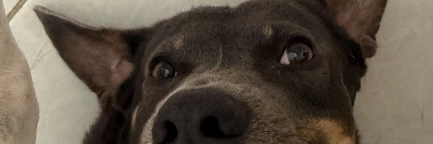 carorochaa's profile banner image