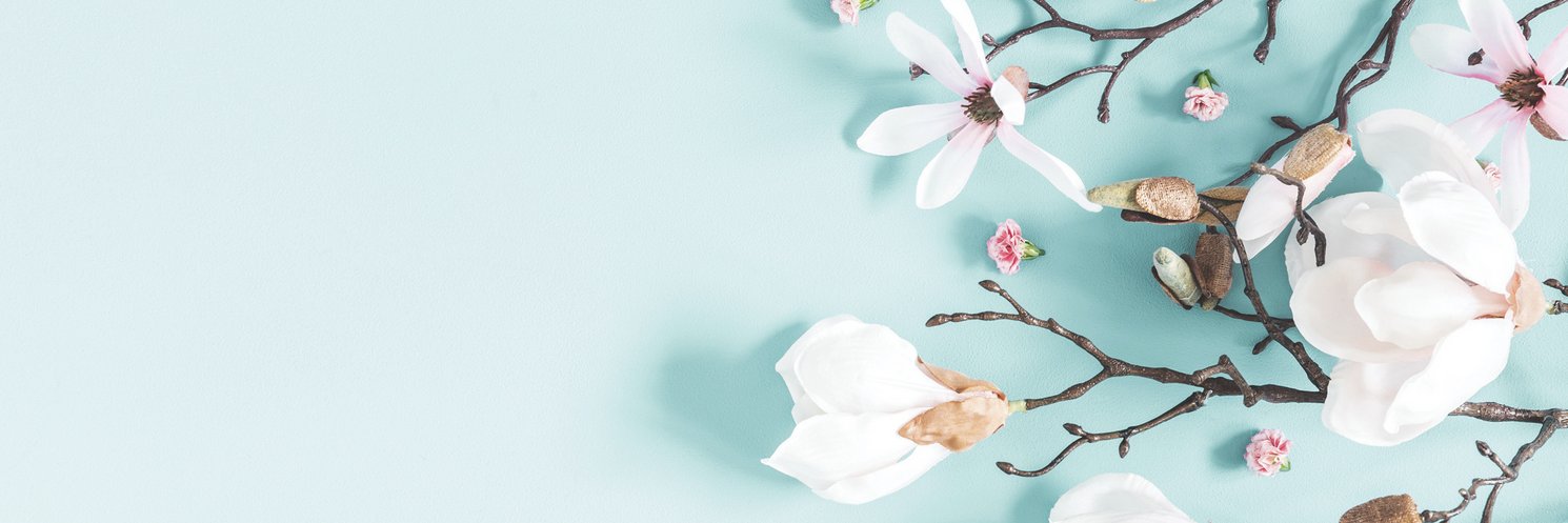 catalystmag's profile banner image