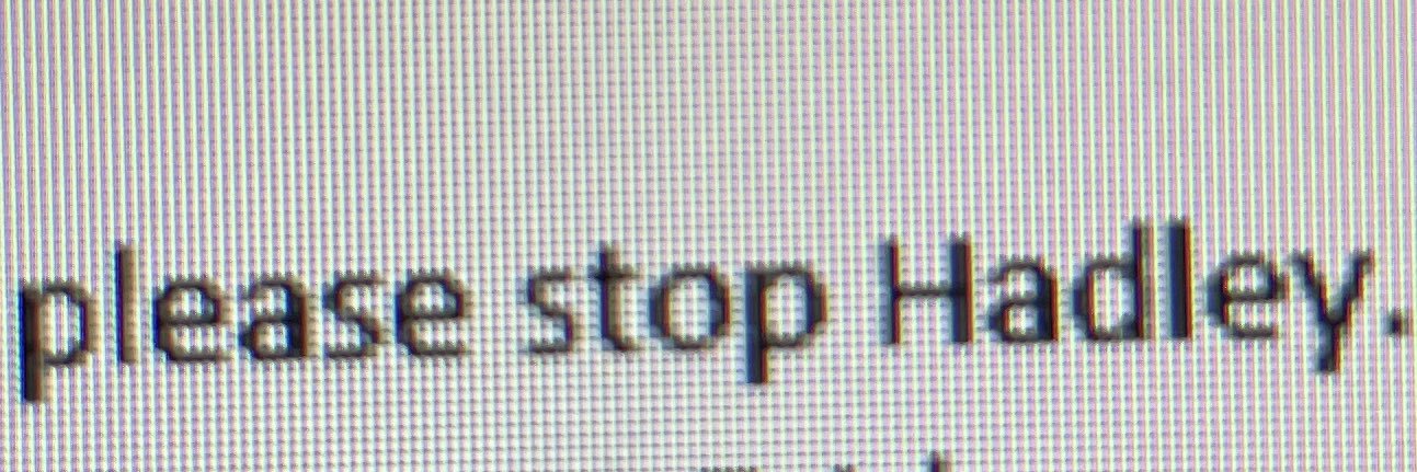 baklava bitch banner