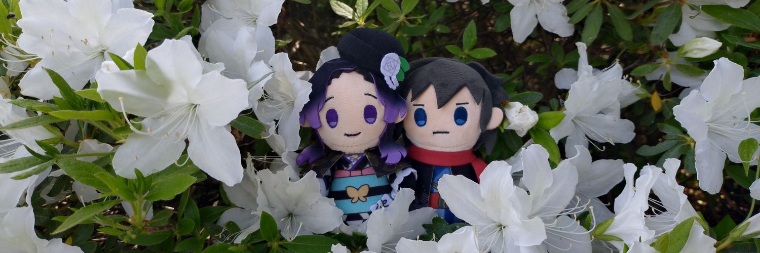 korila7's profile banner image