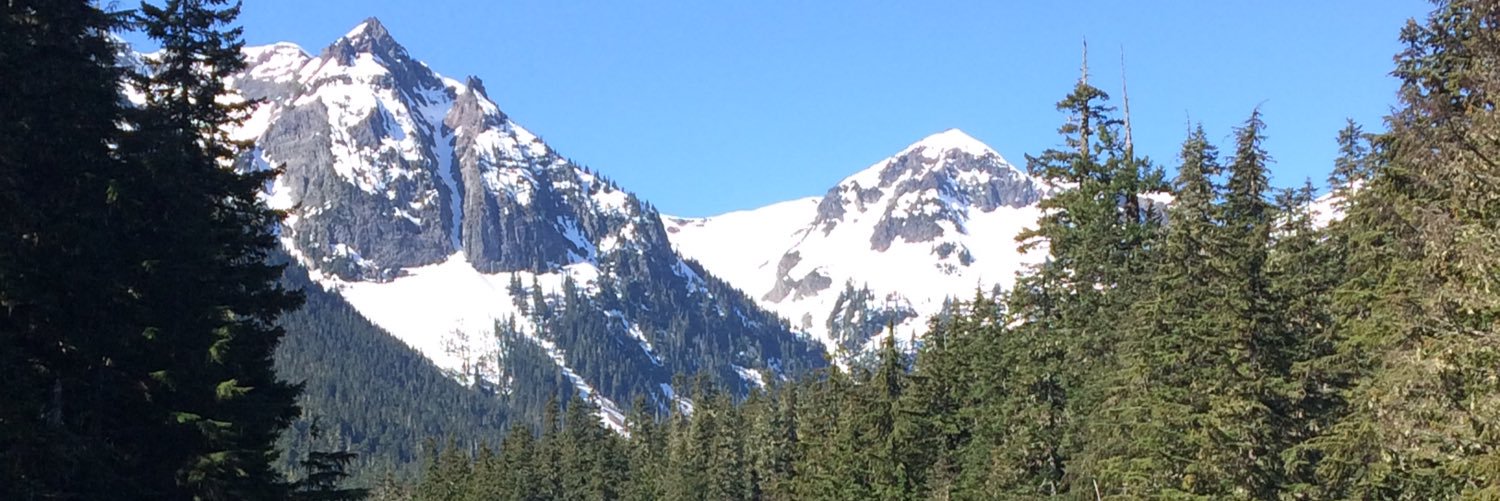 Christine McHugh banner