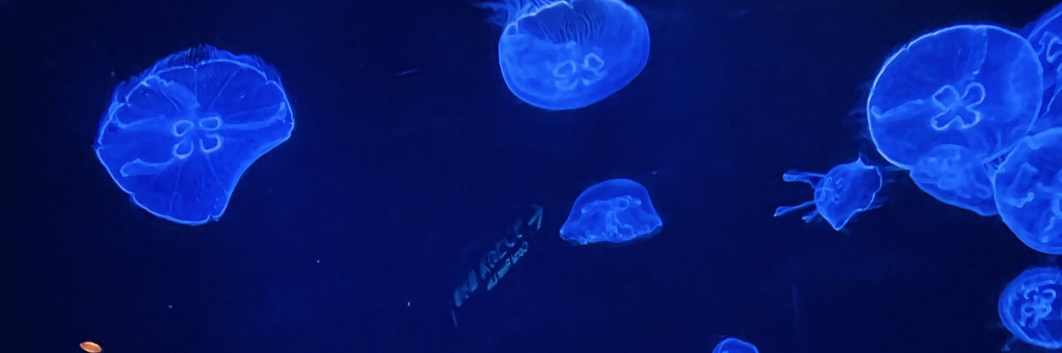 syurism's profile banner image