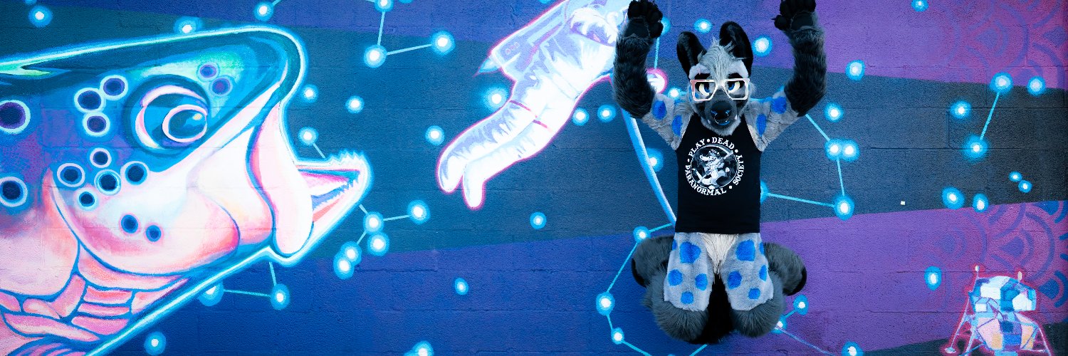 HashHyena's profile banner image