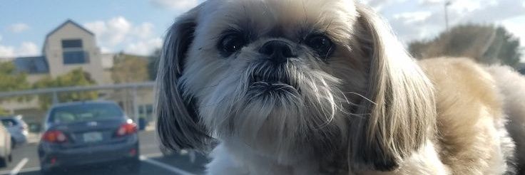 kabbie14's profile banner image