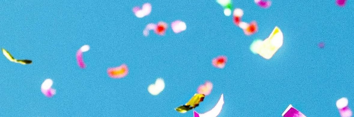 toro_lapilali's profile banner image