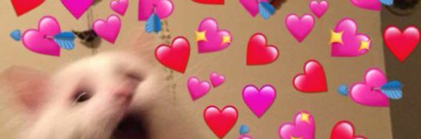 r_risssa Profile Banner