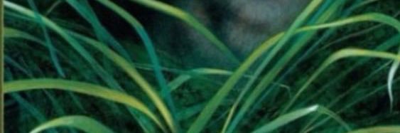oldmanpurdy's profile banner image
