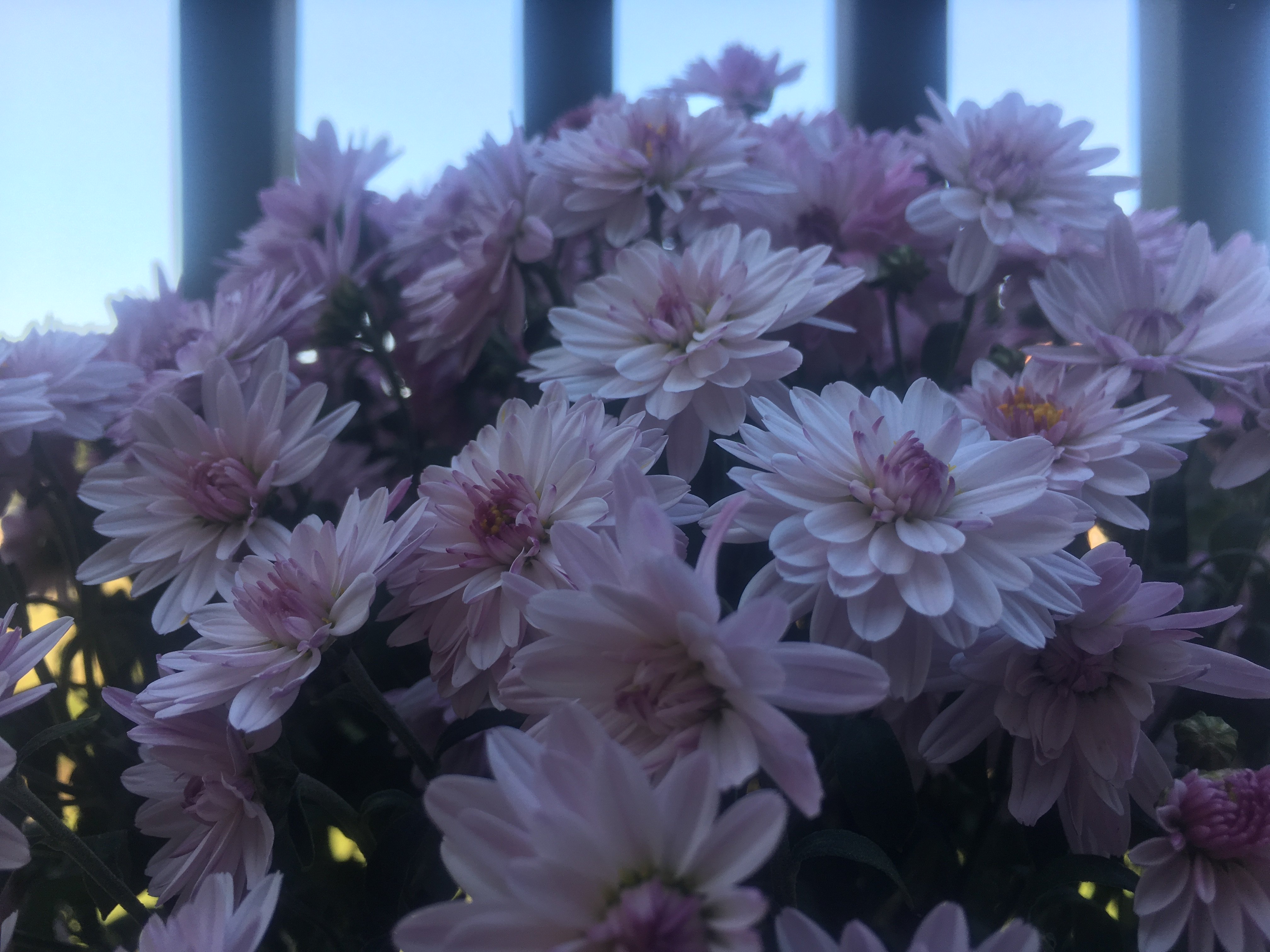 kernfite's profile banner image