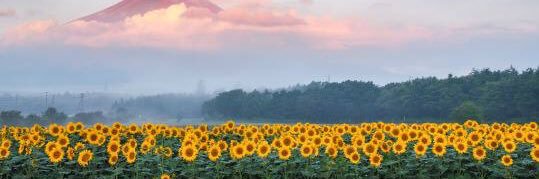 prawJan_'s profile banner image