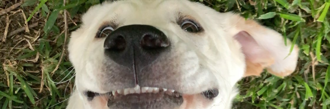 BlakeBlessie's profile banner image