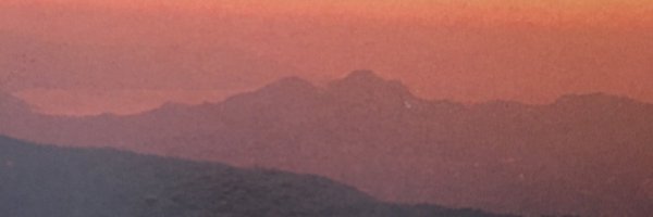 robita1701 Profile Banner