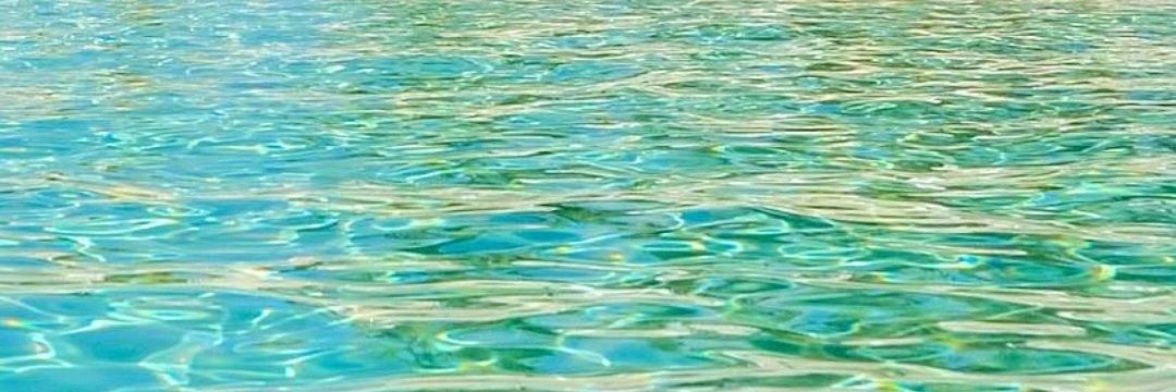 Ernesto Herrera banner