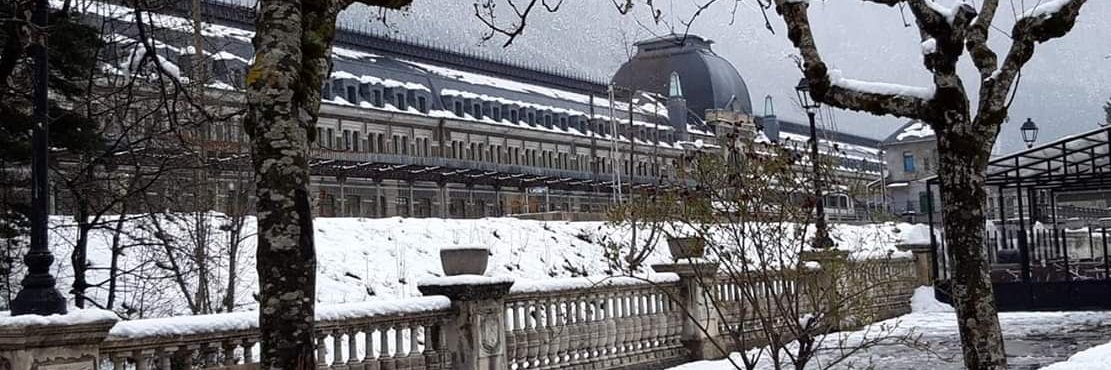 Cuicienciadora banner