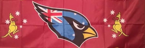 Birdgang DownUnder Profile Banner