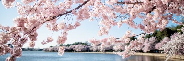 PureBliss82 Profile Banner